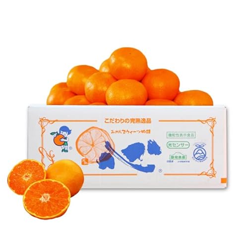 x12x n x O݂ u S ()v MTCY 3L yԏGiz (27O) OP݂ ݂т݂ n݂