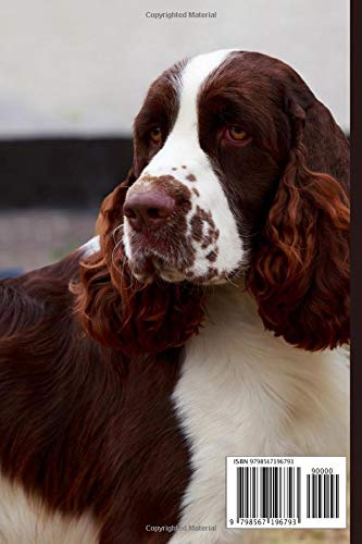 English Springer Spaniel Dog Notebook For Dog Lovers: Composition Notebook 6x9" Blank Lined Journal - Image 2