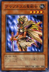 Amazon.co.jp: 【遊戯王カード】 アマゾネスの聖戦士 EE1-JP114