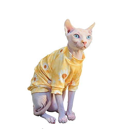 Hairless Sphynx Cat Shirts Der Beste Preis Amazon In Savemoney Es Hairless Sphynx Cat Shirts Der Beste Preis Amazon In Savemoney Es