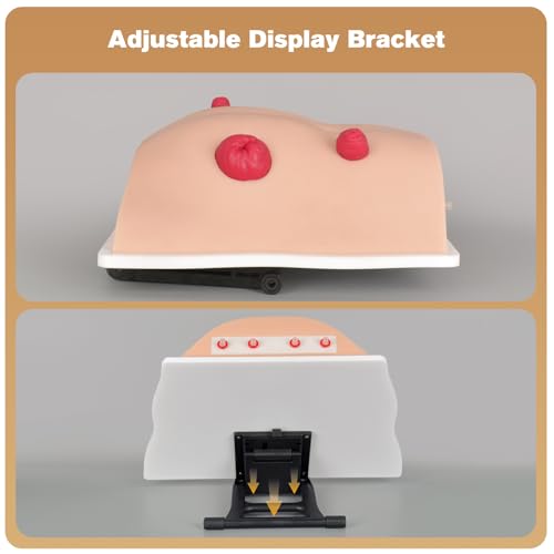 Image of Ostomy Care Trainer Kit, Realistic Abdominal Stoma Model with 4 Stoma Types, Medical Simulation Model for Nursing Students & Patient Care Training