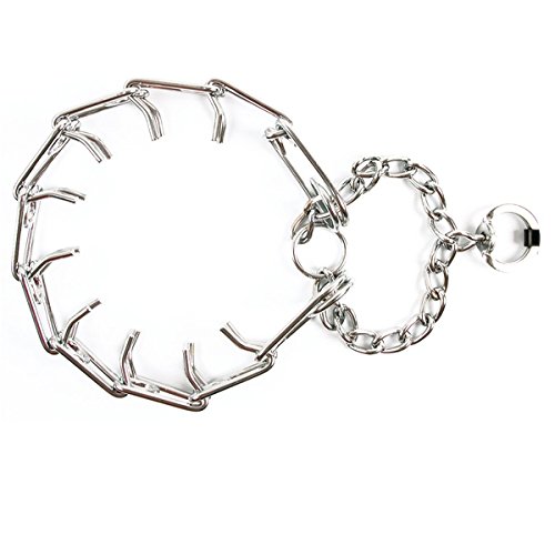 Nayeco Collar De Castigo Cromo 3.5Mmx55Cm