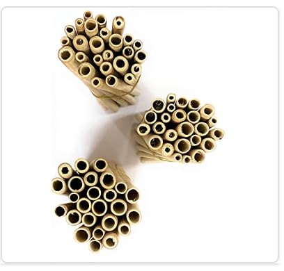 TUGS Bamboo Grass Straws Export Quality Pack of 25 Natural Eco Friendly Biodegradable Drinking Straws with Straw Cleaning Brush -Reusable. Length 10 Inch (7-10 mm/50) (B0C1SZ38N4) Amazon Price History, Amazon Price Tracker