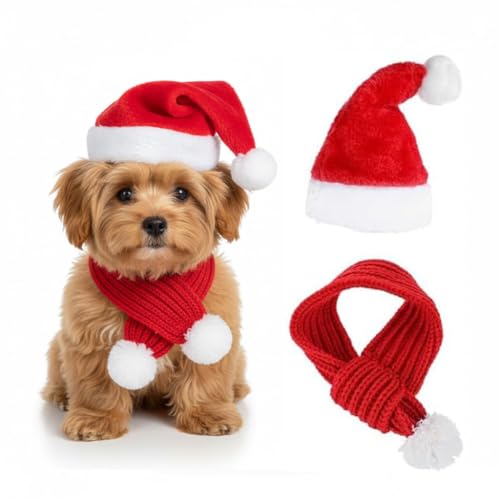 Set de Sombrero y Bufanda Santa para Perro Rojo