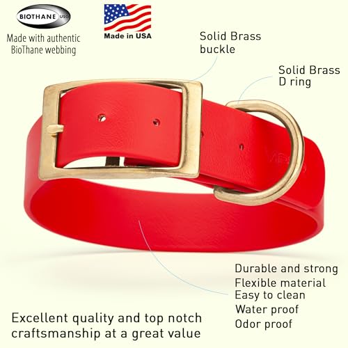 Image of Viper Biothane Heavy Duty Waterproof Dog Collar Strong Coated Nylon Webbing w /Solid Brass Hardware Odor-Proof Easy to Clean High Performance Fits Small Medium or Large Dogs, Cherry Red