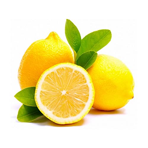 Lemon Big South Africa 500 g Approx.