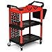 DWVO Auto Detailing Cart with Wheels, 3-Tier Rolling Tool Organizer with 2 Polisher Brackets, 17
