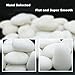 White River Rocks for Painting – 20 Big Rocks, 2” - 3.5” Inch Flat Smooth Stones, about 6 LB. of Craft Rocks for Rock Painting, Kindness Stones, Painting Rocks Supplies for Adults and Kids