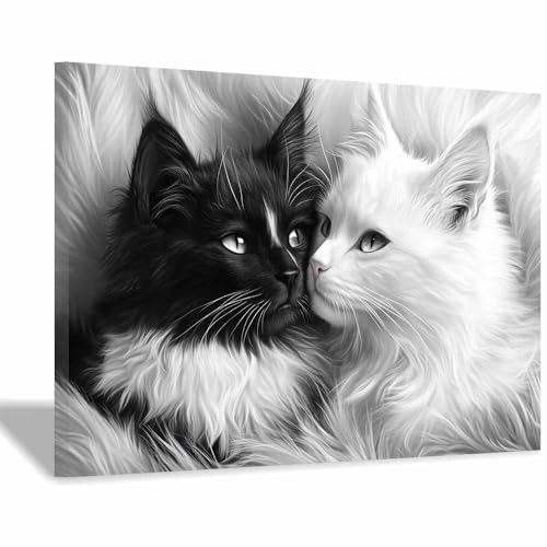 Poster chat noir et blanc DunPei 70x100cm encadré pour salon