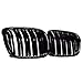 Desconocido Rejillas Frontales Un par Frontal Rejillas Negro Brillante Mate Frente Línea Doble Parrilla ovoide Grill/Ajuste for BMW Serie 5 E39 95-04 SR1G Car Styling (Color : Black)