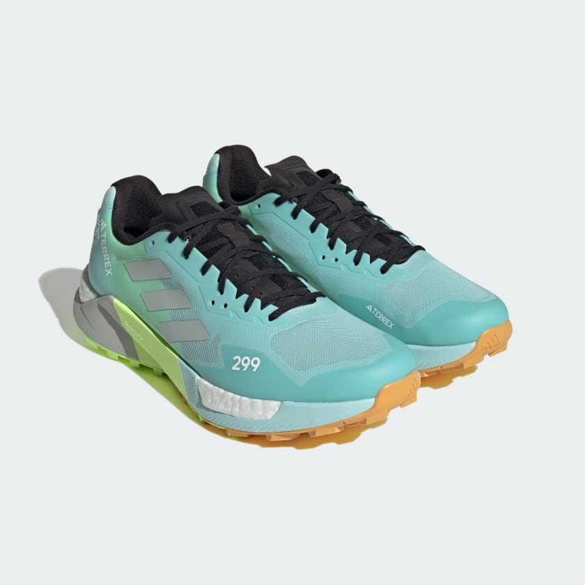 Image of adidas Women's Terrex Agravic Flow 2 GTX W Sneakers