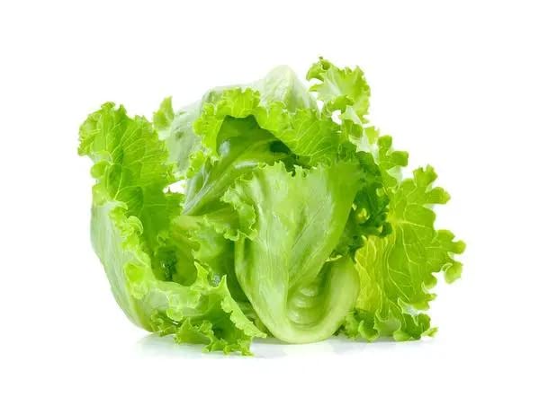 See full amazon price history chart for Gachwala Iceberg Lettuce Seeds, Crisphead Lettuce, Non-Hybrid Seeds, Open Pollinated, Non-GMO Seed, Organic Vegetable Seeds - Pack of 20+ Seeds Gachwala Iceberg Lettuce Seeds, Crisphead Lettuce, Non-Hybrid Seeds, Open Pollinated, Non-GMO Seed, Organic Vegetable Seeds - Pack of 20+ Seeds (B0BLWC9TW9) Amazon Price History, Amazon Price Tracker
