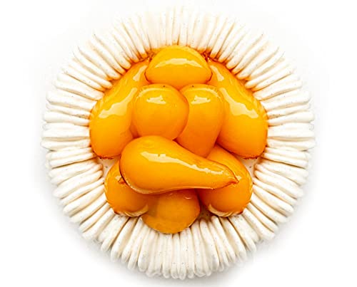 Pavoni Moule en silicone pour charlotte Pavocake KE087 - 18 cm de diamètre x 6,6 cm de haut