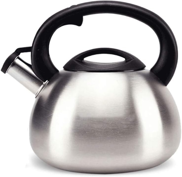 Bouilloire sifflante inox 304 pour la maison et le camping sauvage
