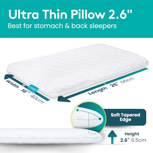 BLISSBURY Stomach Sleeping Pillow – Ultra Thin 2.6