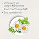 Dr. Böhm Mutterkraut 200 mg: Migräne-Kopfschmerz effektiv vorbeugen, pflanzliche Prophylaxe bei migräneartigen Kopfschmerzen - hochdosierte Mutterkraut-Tabletten - vegan, 60 Filmtabletten