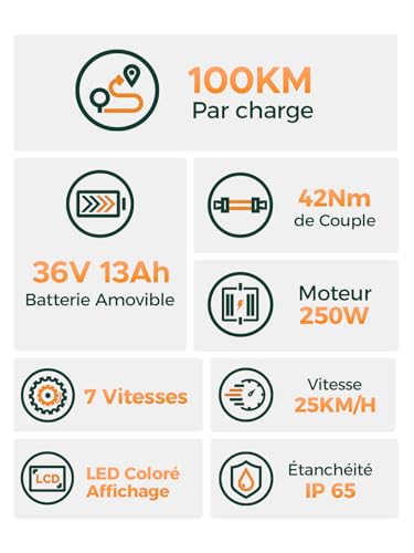 MileCity1 26' E-bicikl za odrasle, električni bicikl sa 7 brzina sa zamjenjivom baterijom od 36 V 13 Ah, 25 km/h i dometom 80-100 km E-bicikl za gradske putnike, IP65 vodootporan (MileCity1, siva)