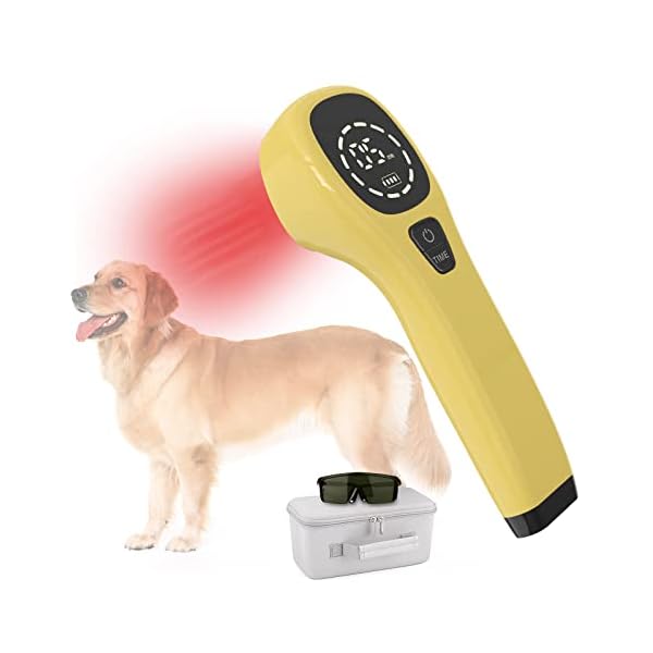 Cold Laser Therapy for Dogs - Effective Pain Relief
