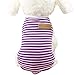 Pet Shirt, Howstar Dog Cat Clothes Puppy Classic Vest Striped T-shirt Pet Summer Apparel (Purple, M)