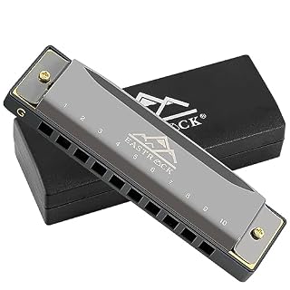 EastRock Blues Harmonica Mouth Organ 10 Hole G Key with Case, Diatonic Harmonica for Professional Player, Beginner, Students gifts, Adult, Friends, Gift Black - Les Beatles, Paul McCartney, John Lennon, RIngo Starr, George Harrison