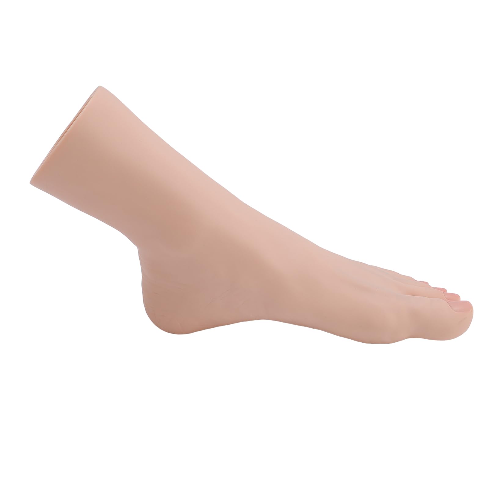 Manichino del Piede in Silicone con Strutture Muscolari e Ossee Realistiche