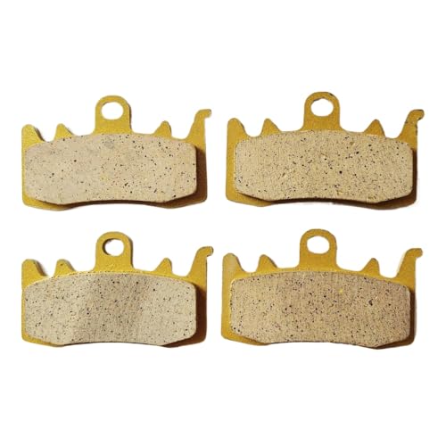 u[LpbhZbg tgƃA LIVEWIRE I[goC 2019-2022 f fBXNu[LVXeɑΉ(Front 2 pair)