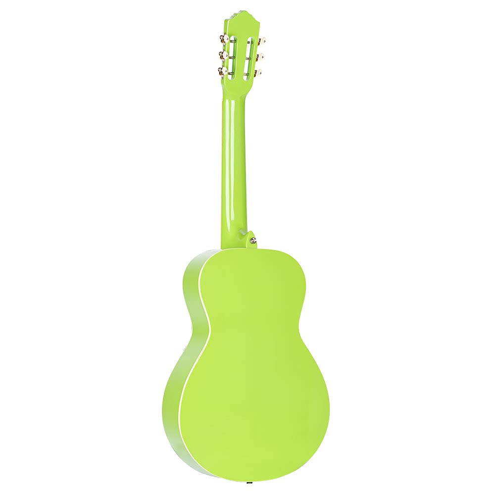 Ortega Guitars Chitarra Full Size - Gaucho Series - Corpo parlor - include Gigbag - Legno di Agathis / green (RGA-GAP)