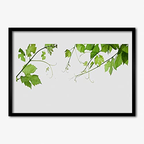 Affiche encadrée 70x50 cm motif branches et feuilles pour décoration murale de salon