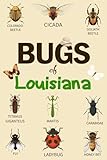 Bug Of Louisiana: Identification Log Book for Insect Enthusiasts, Bug Journal to Observe and Record Bug & Insect Collecting Information, Bug Lovers (Gifts for Kids And Adults Entomologists)