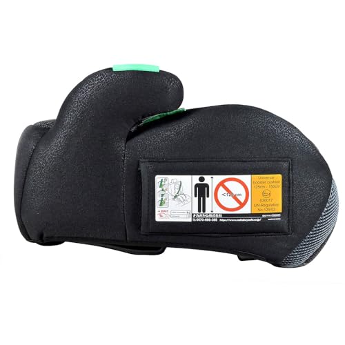 リーマン ジュニアブースター R129適合