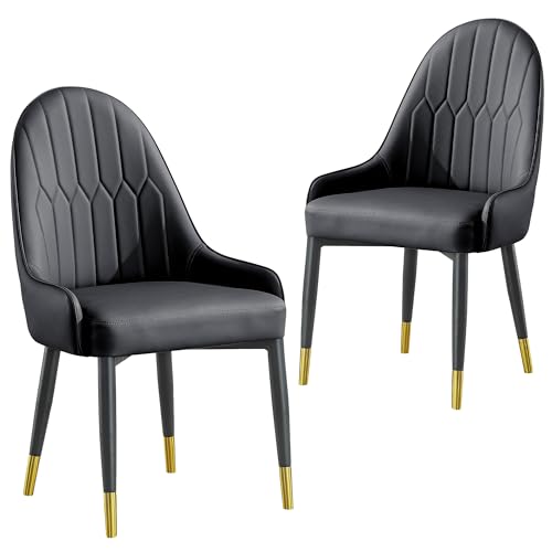 AF ARTISAN FURNITURE Grey Dining Chairs Set of 2 with