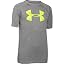 Gray/Yellow Ray