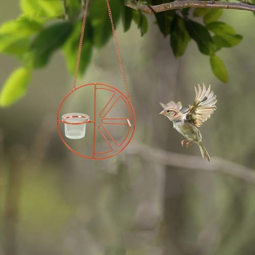Abaodam 2pc Glass Bird Feeder Replacement Glass Cup Outdoor Hanging Bird Feeder Bowl for Oriole Hummingbird for Garden Balcony — view 6