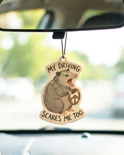 Image of Funny Car Air Freshener 5pcs Cute Capybara Raccoon Frog Opossum Chicken Animal Fresheners, Hanging Car Accessories for Women Teen Girls, Funny Gift for New Drivers