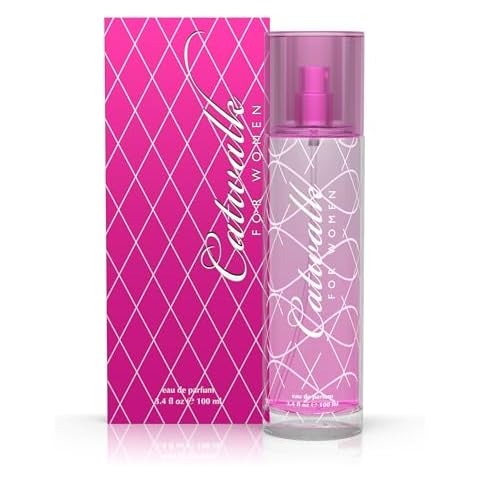 Sandora Fragrances Womens Perfume - INSPIRED by PARIS HILT...N'S Perfume for Women - Fruity, White Floral, Fresh - Frozen Apple, Peach Nectar, Jasmine, Musk - 100ml (3.4oz) Cover