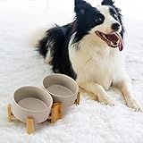 SPUNKYJUNKY Kippbarer Hundenapf Keramik Doppel Hund Futternapf mit Bambus Ständer 0° und 15° Neigungswinkel für Haustiere Katzen und Welpen Großes Gesicht Hund (850ml, Grau × 2)