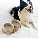 SPUNKYJUNKY Kippbarer Hundenapf Keramik Doppel Hund Futternapf mit Bambus Ständer 0° und 15° Neigungswinkel für Haustiere Katzen und Welpen Großes Gesicht Hund (850ml, Grau × 2)