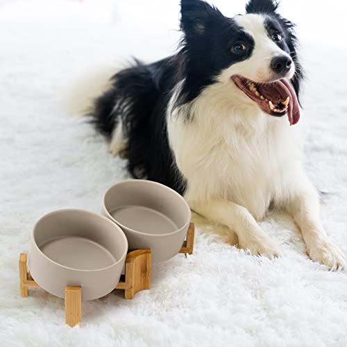 SPUNKYJUNKY Kippbarer Hundenapf Keramik Doppel Hund Futternapf mit Bambus Ständer 0° und 15° Neigungswinkel für Haustiere Katzen und Welpen Großes Gesicht Hund (850ml, Grau × 2)
