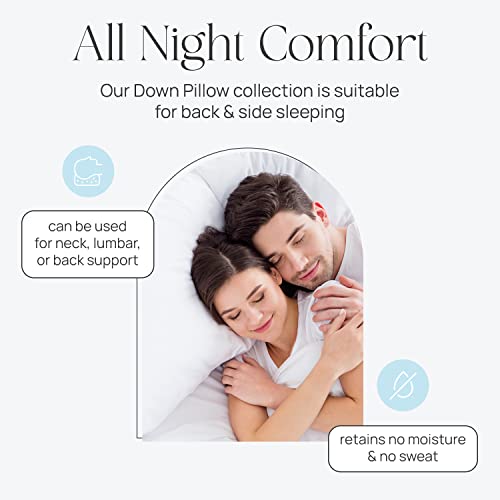 East Coast Bedding Balanced Dream Pillow, King, Queen Size, And Standard Size Down Pillows, Firm & Medium Support Pillows, 100% Cotton Shell, Set Of 1, Standard Size #TOP4