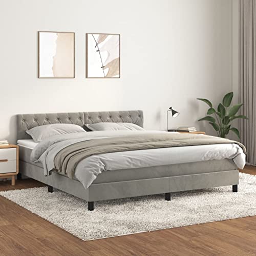 Willood Boxspringbett mit Matratze Hellgrau 160x200 cm SamtKnopfheftung Design