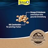 Tetra Tablets TabiMin Hauptfutter Futtertabletten - 5