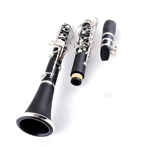 ؍ BB Nlbgd 17 {^ BB Nlbgؐy 17Key Nlbg B Nlbgy