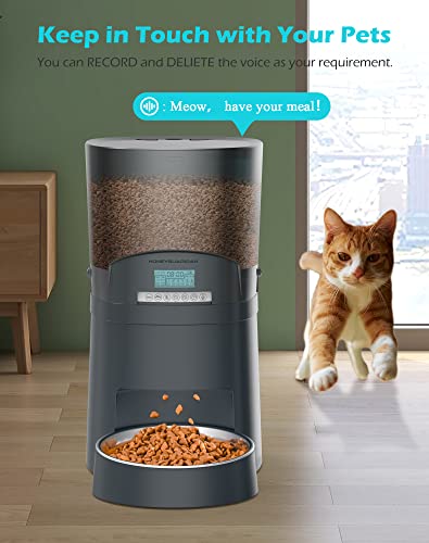 Automatic Cat Feeder, Honeyguaridan 6.5L Pet Feeder For Cats And Dogs Dry Food Dispenser With Desiccant Bag, Stainless Steel Bowl, 6 Meals Portion Control, Dual Power Supply &10S Voice Recorder #TOP4