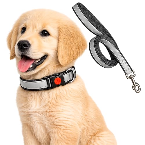 Image of Reflective Dog Collar & Leash, Quick Release Buckle, Adjustable Size | for 24-35 Kilograms Dogs (L, Black)