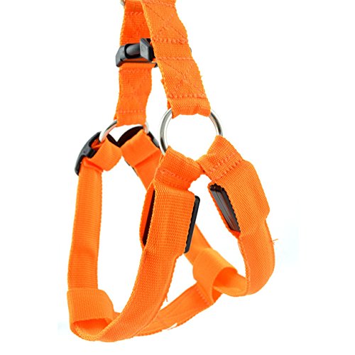 See full amazon price history chart for Nema Dog LED Harness Flashing Light 3 Mode - Orange - Extra Large Nema Dog LED Harness Flashing Light 3 Mode - Orange - Extra Large (B07Z83XW7W) Amazon Price History, Amazon Price Tracker