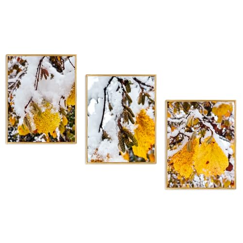 The Virtue of God–Authentic Nature Macro Photography Print–Winter Frozen Snowy Leaves–Set of 3 Vertical Unframed Canvas Modern Wall Art-Home or Office Wall Decor-Winter Season Gift (12 x 18)