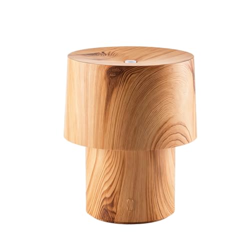 Diffusore di oli essenziali da 160 ml, diffusore di aromi a ultrasuoni USB e umidificatore a nebbia fredda con lampada da scrivania ambientale, spegnimento automatico, umidificatore silenzioso di tipo