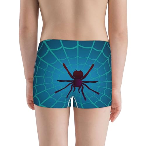 Boys' Cotton Boxer Brief Soft Underwear-Spider And Cobweb3