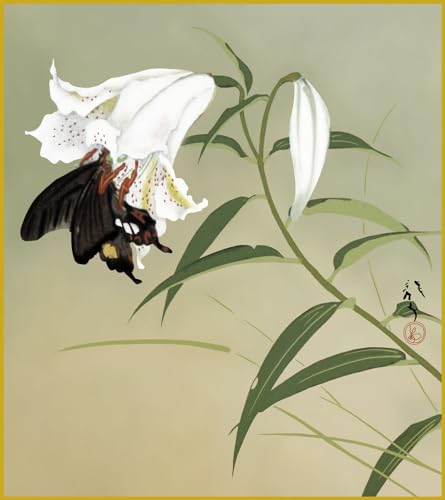 F F|Ȃ FG a S [q _ | ̊ a  Ǌ| G