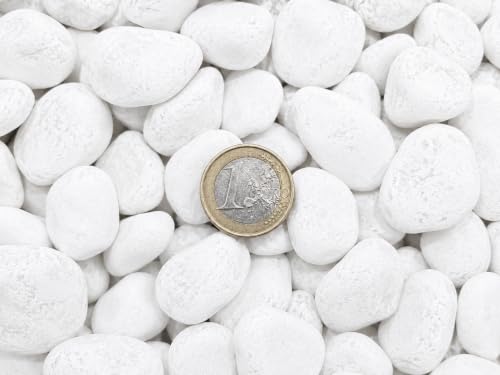 Todostones Canto Rodado Saco Blanco Especial 99 5kg, Tamaño:10-20mm